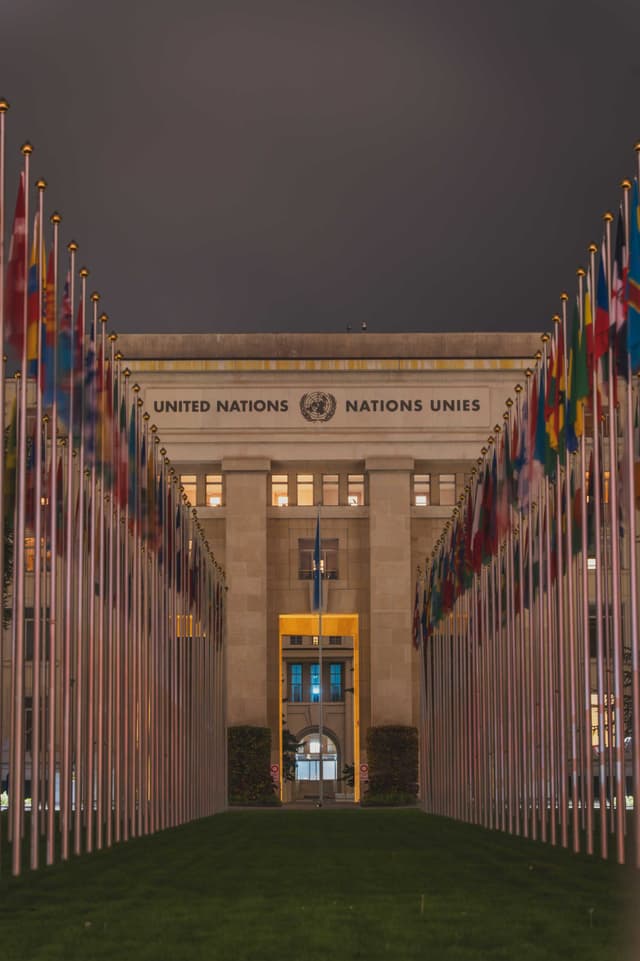 Key Public Health Organizations 