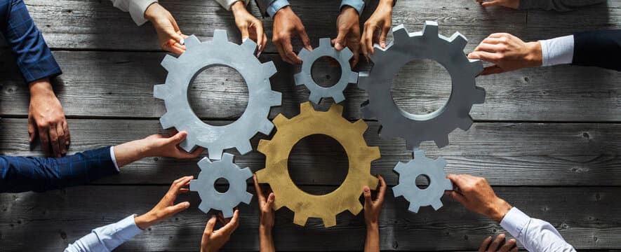 Support and Collaborate